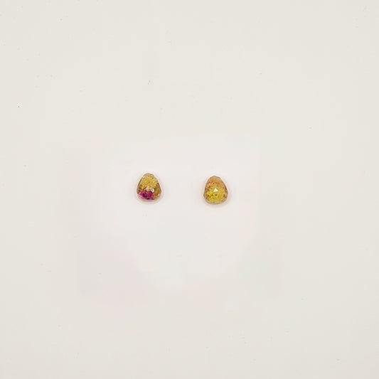 Den Haag Color Pop Faceted Teardrop Stud Earrings