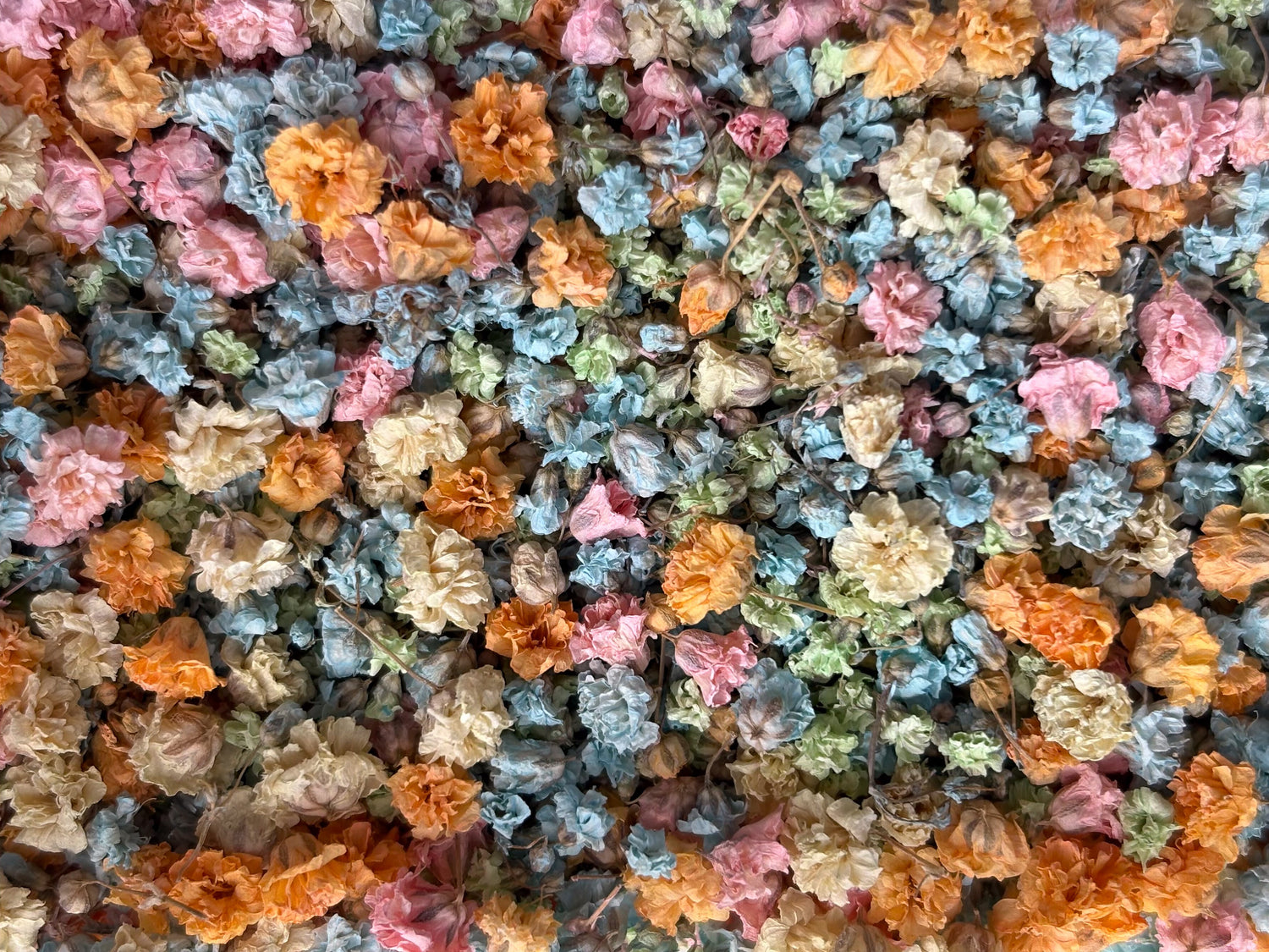 Multicolored dried flowers in a mix of orange, pink, blue, and green.