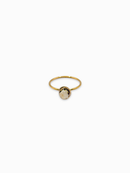 The Classics Ring