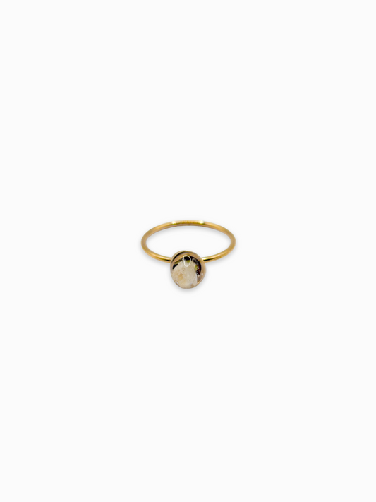 The Classics Ring