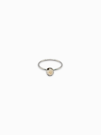 The Classics Ring