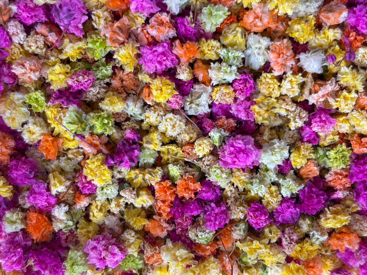 A dense, close-up arrangement of small, ruffled dried flowers in a variety of bright colors including magenta, yellow, orange, pink, and white.